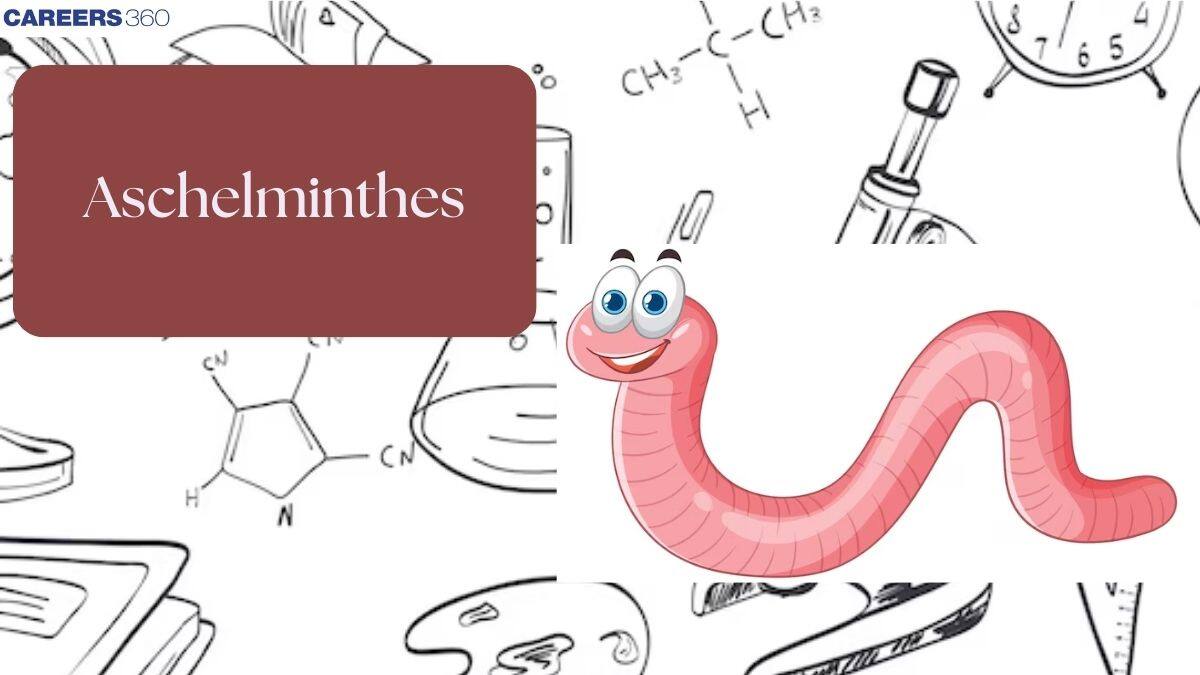 Phylum Aschelminthes: Characteristics, Examples, Platyhelminthes, Classification, Topics